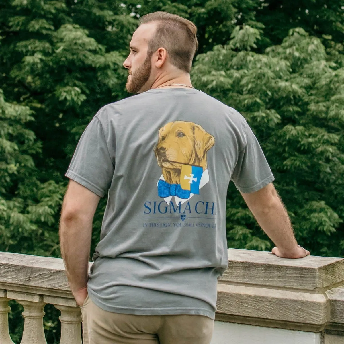 AEPi Comfort Colors Retriever Flag Tee