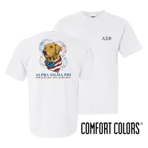 Alpha Sig Comfort Colors USA Retriever Tee