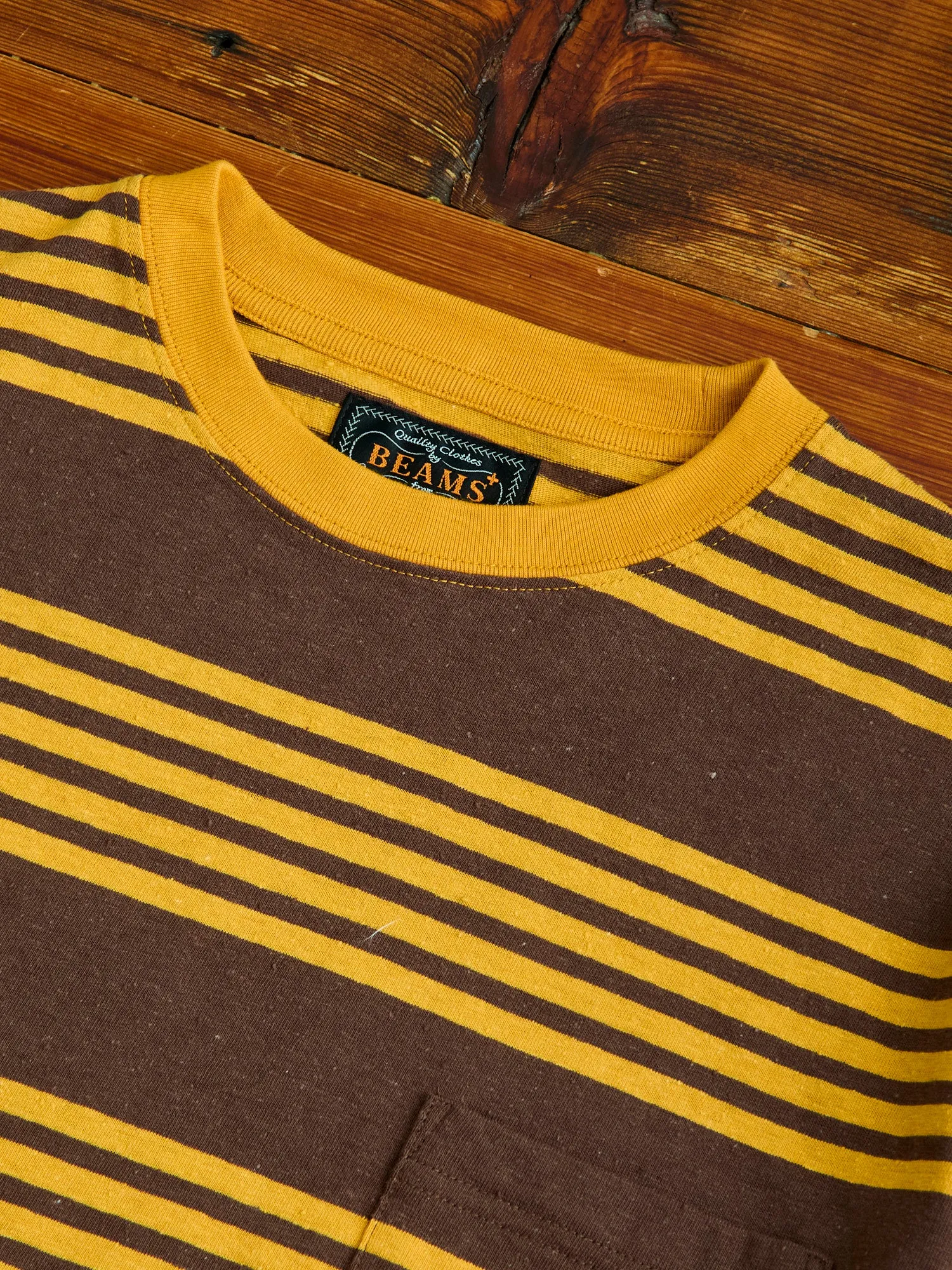 Nep Stripe Pocket T-Shirt in Brown