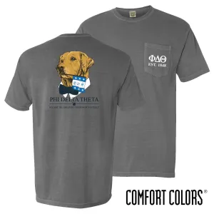 Phi Delt Comfort Colors Retriever Flag Tee