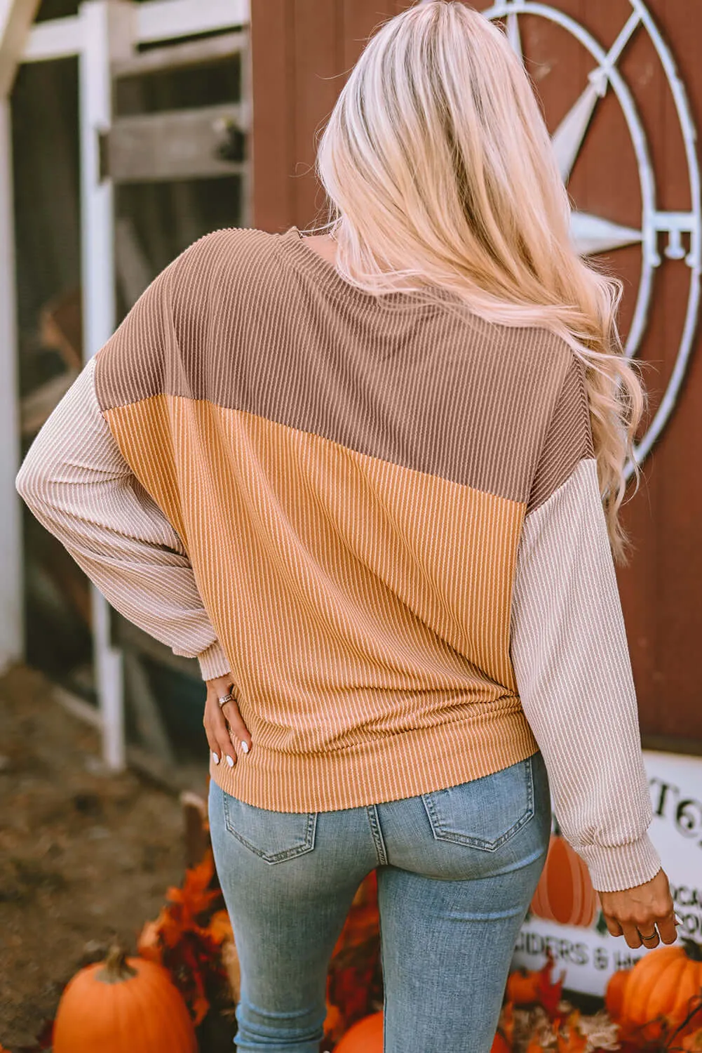 STANDOUT Color Block Top - Taupe/Tan